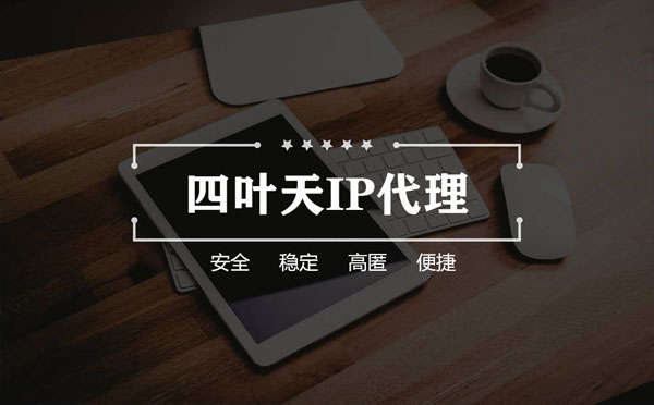 【威海代理IP】如何快速搭建代理IP？怎么检查代理的效果？