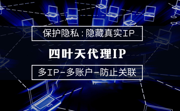 【威海代理IP】服务器代理ip如何选择？如何挑选服务器代理商